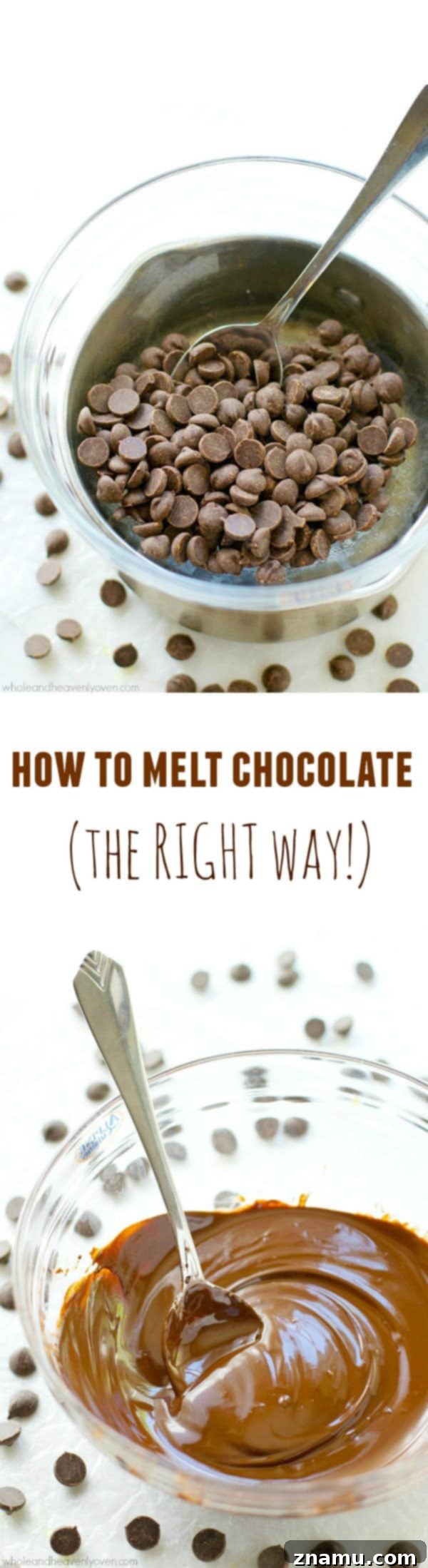 Mastering the Art of Chocolate Melting 9 Various images of desserts made with perfectly melted chocolate, showcasing its versatility and delicious appeal.