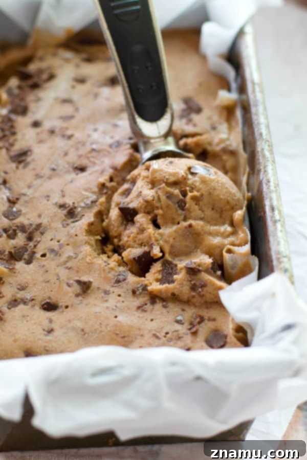 Light Mocha Banana Crunch Bliss 2 Creamy mocha banana ice cream with chocolate chunks, a healthy no-churn dessert recipe.
