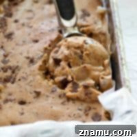 Healthy Mocha Banana Crunch Ice Cream