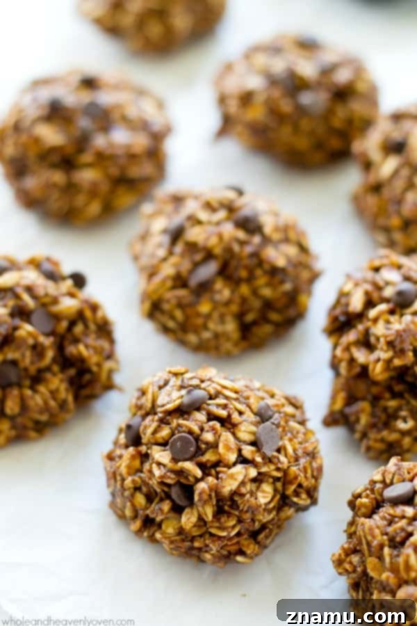 Ultimate No Bake Double Chocolate Kitchen Sink Cookies 5 Craving something sweet but don't feel like turning on the oven? These addicting no-bake cookies are loaded with a double-delight of chocolate and just about everything else! @WholeHeavenly