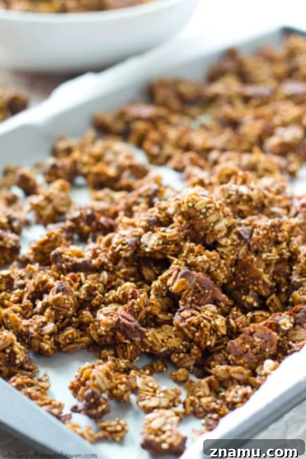 Decadent Double Chocolate Quinoa Clusters 3 Close-up of double chocolate quinoa granola clusters, highlighting the rich chocolate and the textural appeal of oats and quinoa