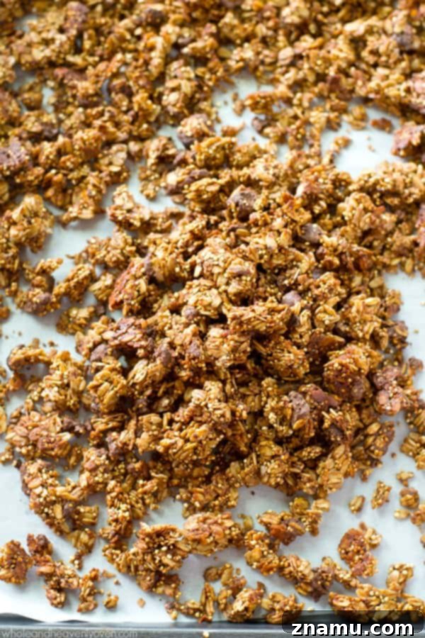 Decadent Double Chocolate Quinoa Clusters 5 Close-up of baked granola clusters, emphasizing the dark chocolate chips and the golden-brown color achieved during baking