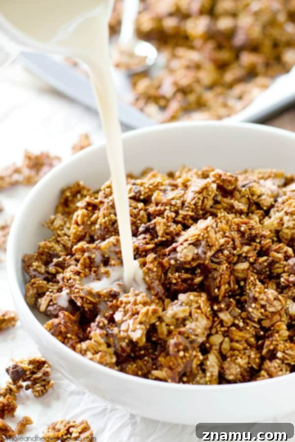 Decadent Double Chocolate Quinoa Clusters 10 A bowl of double chocolate quinoa granola with a spoon, ready to be enjoyed, emphasizing its deliciousness and healthy attributes