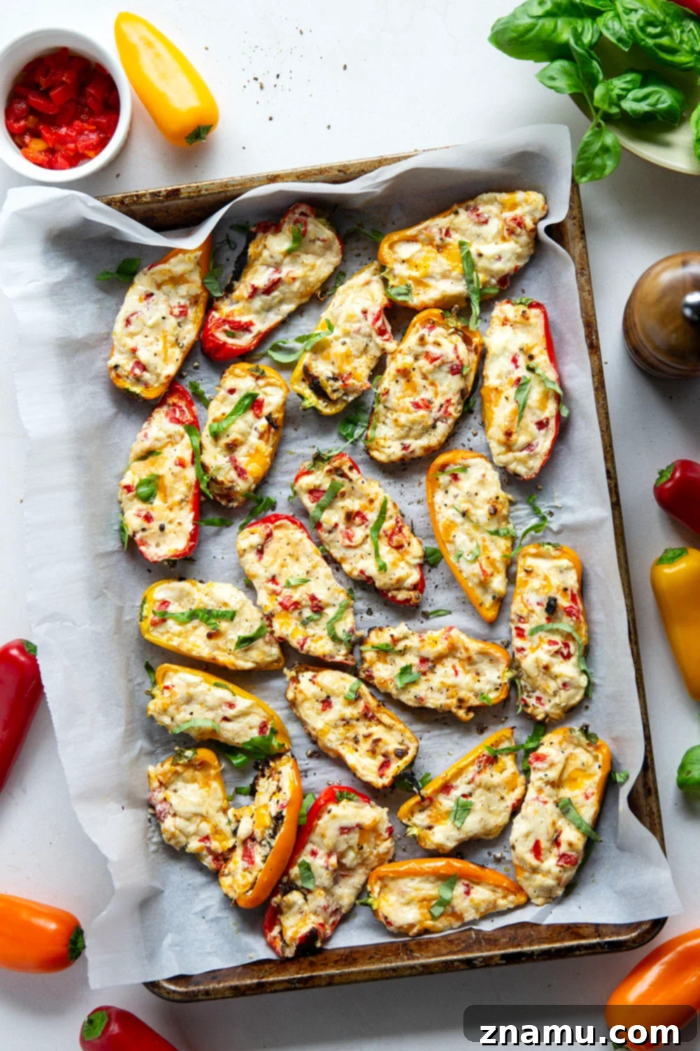 Fire-Kissed Sweet Pepper Bites 5 Ingredients for Sweet Pepper Poppers laid out: cheeses, pimentos, basil, garlic, and mini peppers.