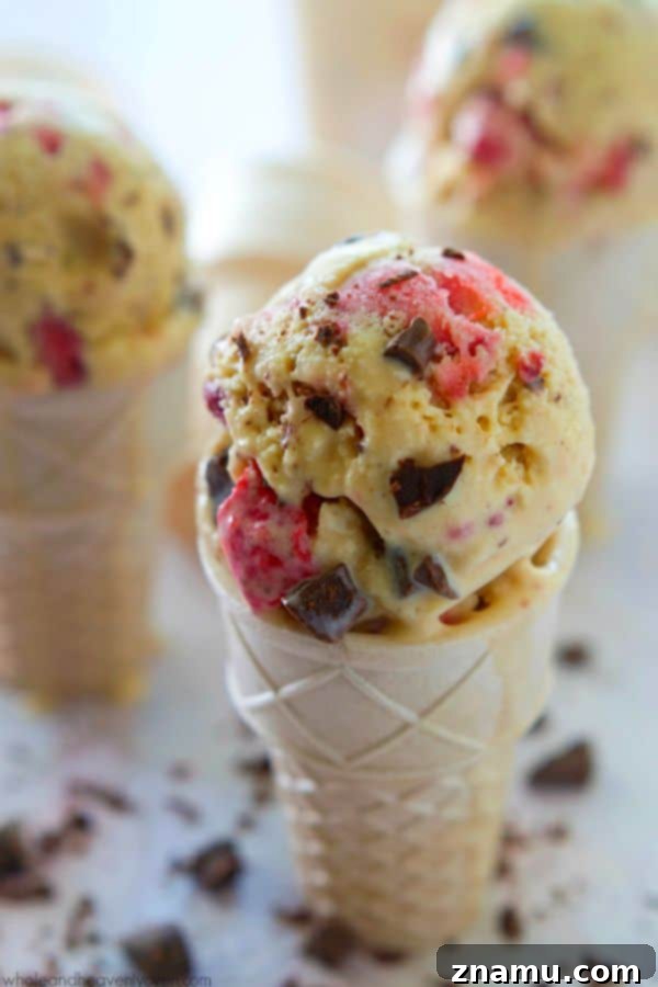 Crimson Chip Swirl Bliss 10 A final close-up of Strawberry Swirl Chocolate Chip Ice Cream, showcasing texture and ingredients.