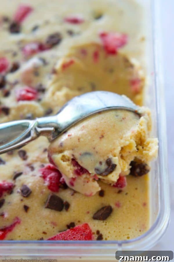 Crimson Chip Swirl Bliss 5 Multiple scoops of Strawberry Swirl Chocolate Chip Ice Cream in a bowl with extra chocolate chips.