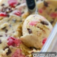 Crimson Chip Swirl Bliss 9 Strawberry Swirl Chocolate Chip Ice Cream