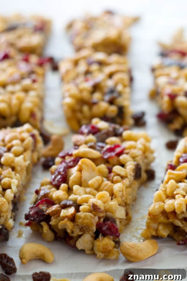 No-Bake Fruit and Nut Power Bars 2 Delicious no-bake fruit and nut bars, a healthy and easy-to-make alternative to store-bought snacks.