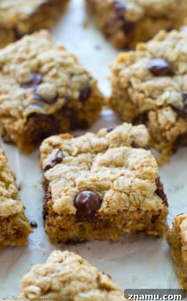 Oatmeal Chocolate Chip Cookie Bars 5 Freshly baked oatmeal chocolate chip bars cooling on a rack.