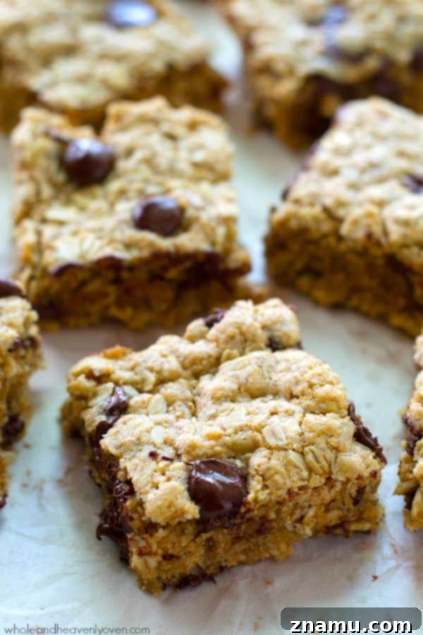 Oatmeal Chocolate Chip Cookie Bars 7 A close-up of a gooey chocolate chip oatmeal bar, showcasing its rich texture.