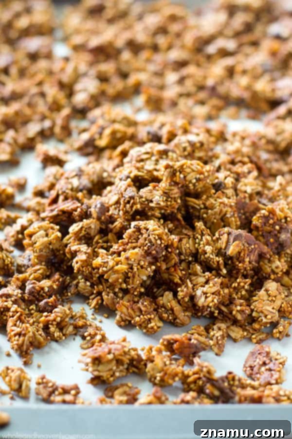 Oatmeal Chocolate Chip Cookie Bars 10 Crunchy Double-Chocolate Quinoa Granola clusters, perfect for breakfast or snacking.