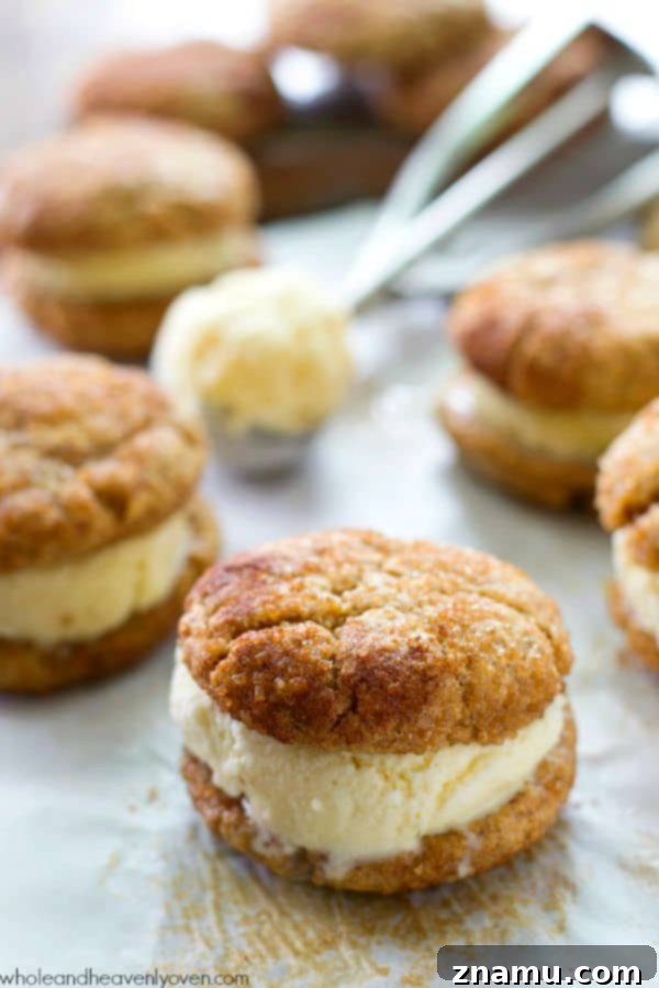 Cinnamon Sugar Cookie Cream Dreams 2 Delicious snickerdoodle ice cream sandwiches ready to be enjoyed, showcasing soft cookies and creamy vanilla ice cream.