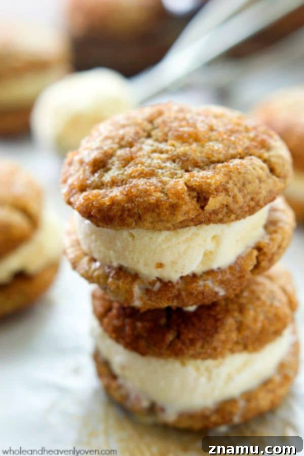 Cinnamon Sugar Cookie Cream Dreams 3 Close-up of a snickerdoodle ice cream sandwich, highlighting the soft cookie texture and smooth ice cream filling.