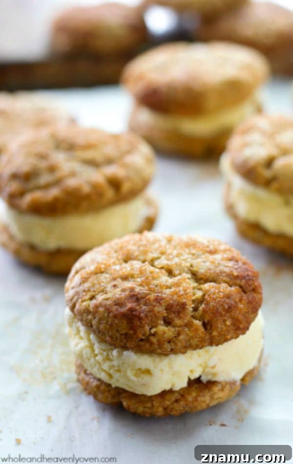 Cinnamon Sugar Cookie Cream Dreams 4 Homemade snickerdoodle cookies, perfectly round and coated in cinnamon sugar, ready for ice cream.