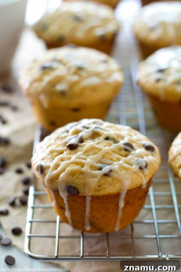 Cinnamon Roll Surprise Chocolate Chip Muffins 6 Cinnamon Roll-Stuffed Chocolate Chip Muffins arranged on a cooling rack