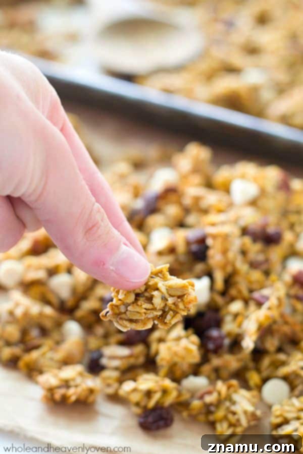 This crisp, cluster-y granola has a delightful fall twist of pumpkin, white chocolate, dried cranberries, and plenty of spice.---You'll want to eat it by the handful! @WholeHeavenly