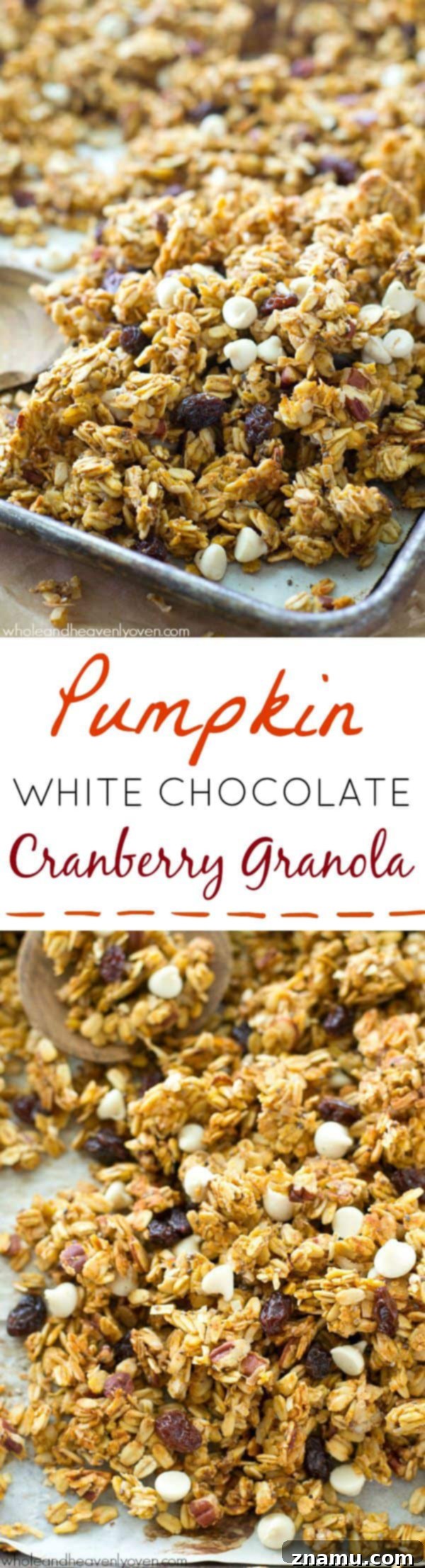 This crisp, cluster-y granola has a delightful fall twist of pumpkin, white chocolate, dried cranberries, and plenty of spice.---You'll want to eat it by the handful! @WholeHeavenly