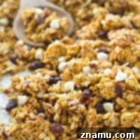 Pumpkin White Chocolate Cranberry Granola