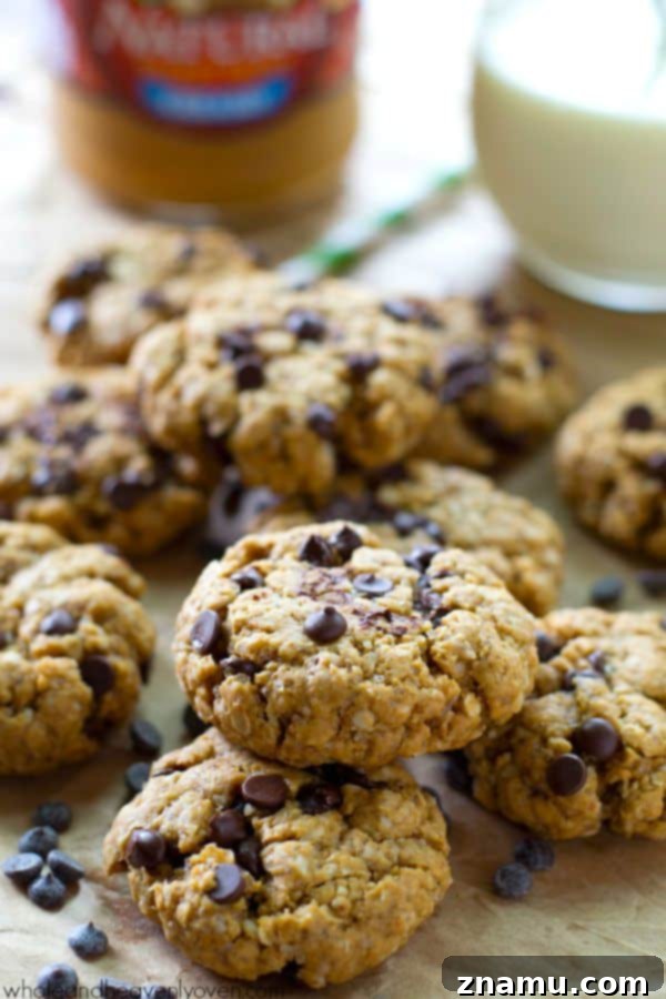 Deliciously soft and chewy flourless peanut butter chocolate chip oatmeal cookies, perfect for a quick snack.