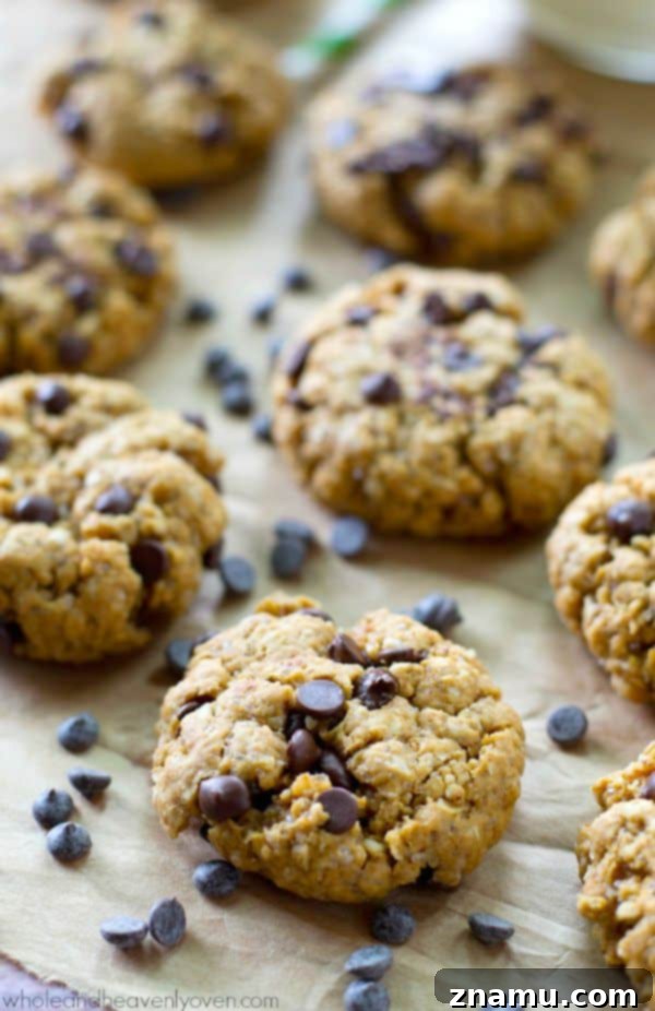 A close-up of soft and chewy flourless peanut butter chocolate chip cookies, ready to be enjoyed.