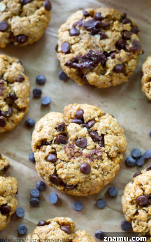 Fluffy and delectable flourless peanut butter chocolate chip oatmeal cookies stacked high.