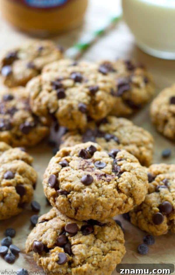 Freshly baked flourless peanut butter chocolate chip cookies on a baking sheet.