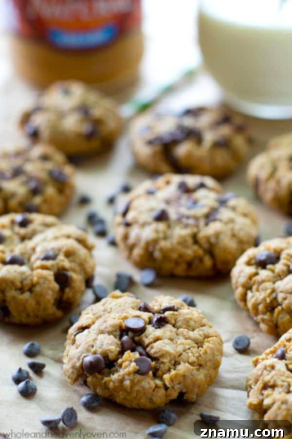 A single flourless peanut butter chocolate chip cookie, perfectly soft and round.