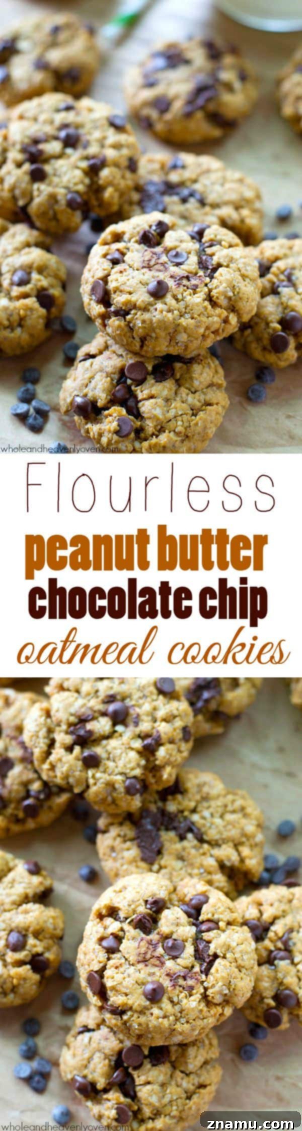 Half-eaten flourless peanut butter chocolate chip oatmeal cookie, highlighting its deliciousness.