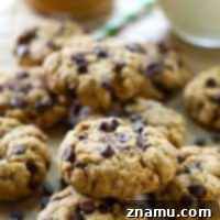 Flourless Peanut Butter Chocolate Chip Oatmeal Cookies