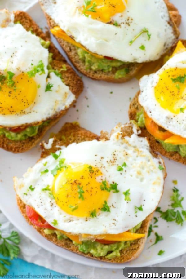 Cali Egg Avocado Toast 3 Close-up of California-Style Fried Egg Avocado Toast, highlighting the rich, creamy texture of smashed avocado and the fresh, colorful array of vegetables on toasted bread.