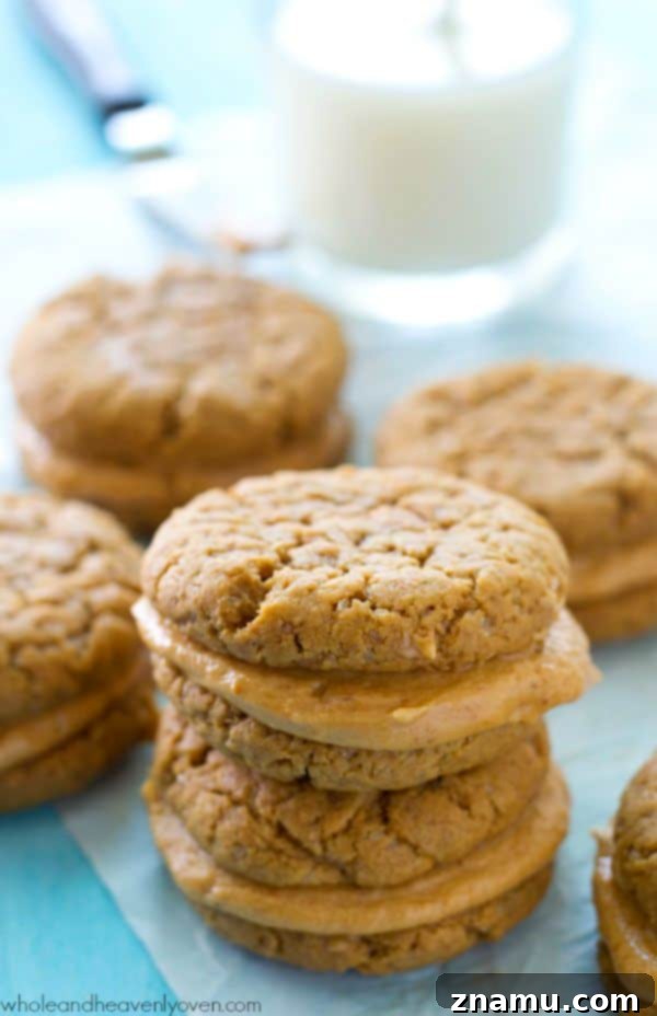 Close-up of a single extra-chewy peanut butter sandwich cookie showing its soft texture and generous cream filling.