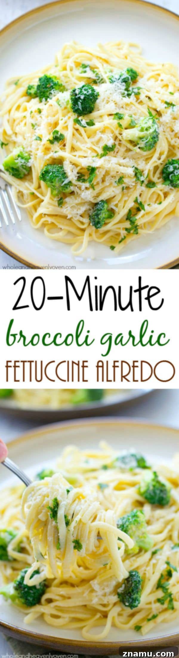 Broccoli Garlic Fettuccine Alfredo in 20 Minutes 8 A close-up of the finished 20-minute broccoli garlic fettuccine alfredo with a generous topping of parmesan cheese.