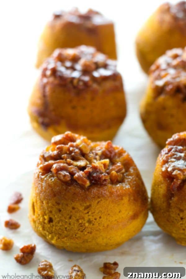 Gooey Pecan Pumpkin Flip Muffins 2 Sticky Pecan Upside-Down Pumpkin Muffins with a glistening caramel pecan topping.
