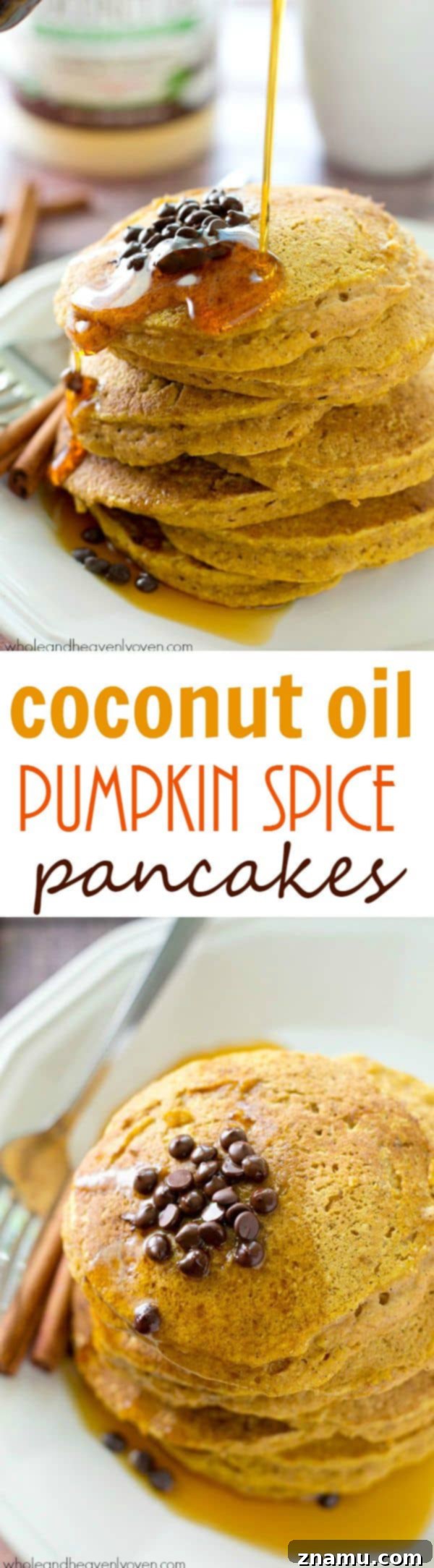 Autumn's Coconut Pumpkin Spice Pancakes 9 A large, inviting stack of ultimate fluffy pumpkin spice pancakes.