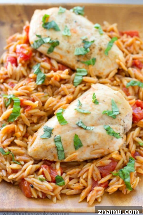 Creamy Orzo Pasta with Italian Chicken, cooked in a single skillet for ultimate convenience. Quick 30-minute recipe.