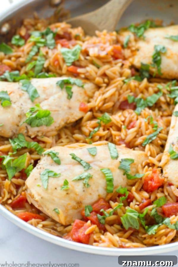 Ready to serve One-Pot Italian Chicken and Orzo Pasta, showing a portion scooped from the pan onto a plate.