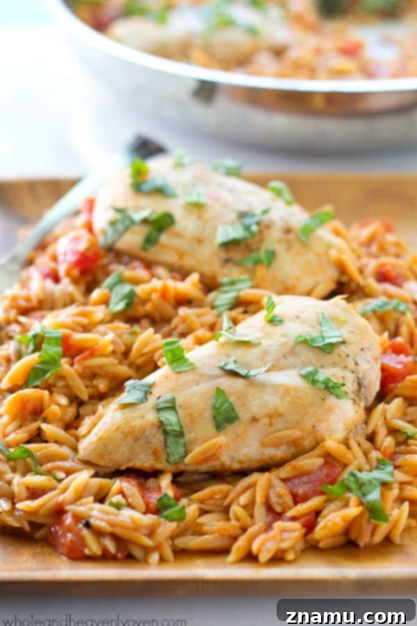 A large skillet of One-Pot Italian Chicken and Orzo Pasta, just finished cooking and garnished with fresh herbs.