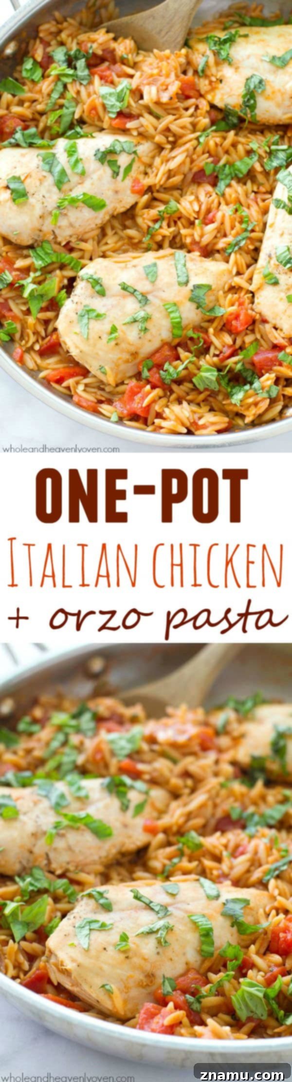 A final close-up shot of the One-Pot Italian Chicken and Orzo Pasta, perfect for a cozy dinner.