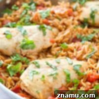 One-Pot Italian Chicken and Orzo Pasta