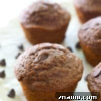 Ultra-moist and fudgy inside and loaded up with a double-whammy of chocolate, you'd never guess that these brownie-like muffins are lighter on the calories!