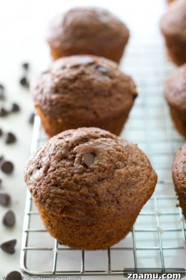 Brownie Batter Muffins 3 Rich, fudgy double chocolate brownie muffins, perfect for a lighter breakfast or dessert. @WholeHeavenly