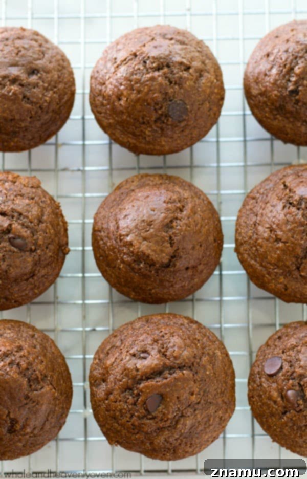 Brownie Batter Muffins 4 Healthy double chocolate brownie muffins with a dense, fudgy texture. @WholeHeavenly