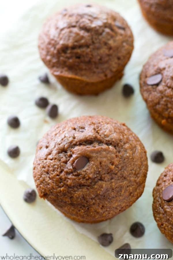 Brownie Batter Muffins 5 Low-calorie double chocolate brownie muffins, packed with flavor. @WholeHeavenly