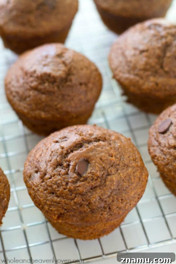Brownie Batter Muffins 7 Double chocolate brownie muffins: a perfect blend of cocoa and chocolate chips. @WholeHeavenly