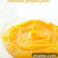 Whip Up Fresh Homemade Pumpkin Puree 9 Homemade Pumpkin Puree: Fresh, vibrant, and easy to make at home!