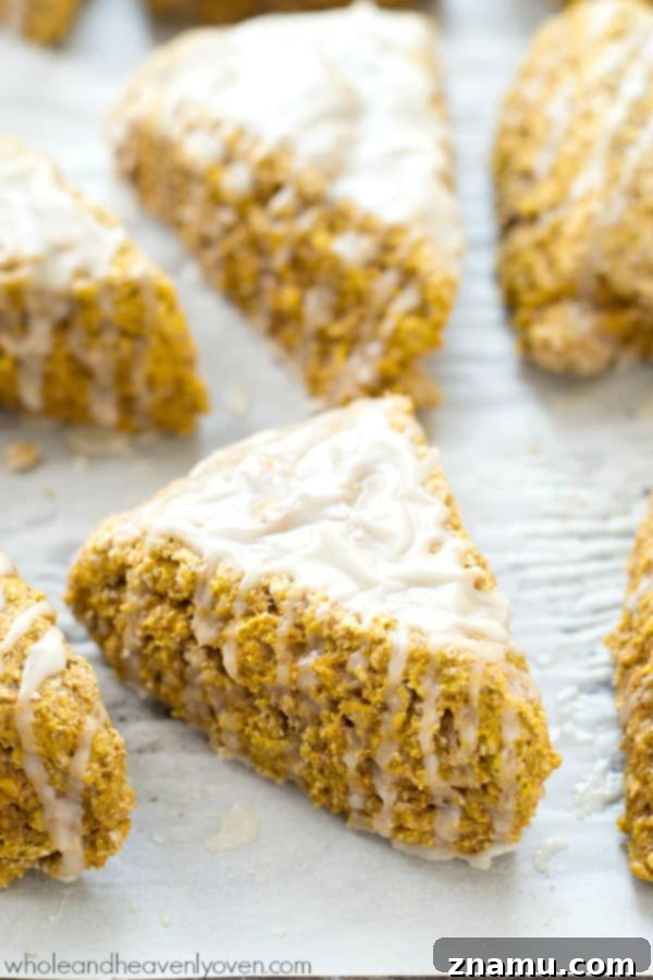 Autumn Cafe Pumpkin Spice Scones 4 Several pumpkin spice scones arranged on a cooling rack, showcasing their golden tops.