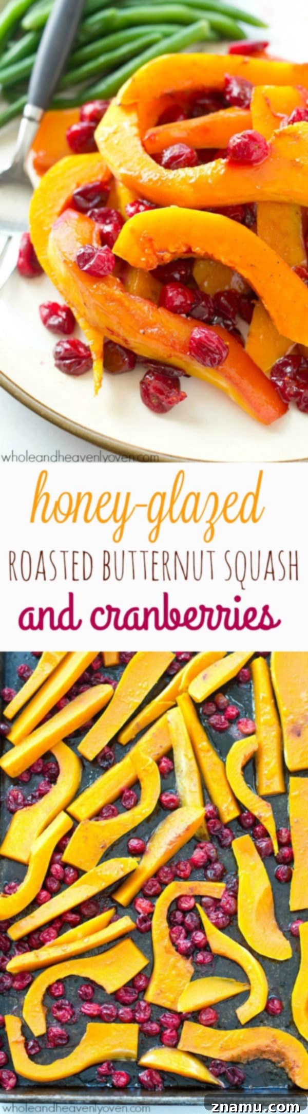 Butternut squash and cranberries are roasted to perfection in tons of honey and olive oil for one stunning side dish perfect for Thanksgiving or any fall dinner! @WholeHeavenly
