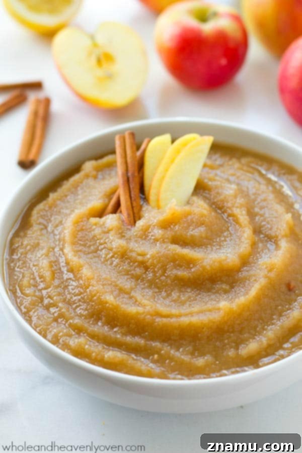 Simple Big-Batch Stovetop Applesauce 2 A rustic bowl of homemade stovetop applesauce, lightly spiced and garnished with cinnamon sticks, showcasing the cozy essence of fall.