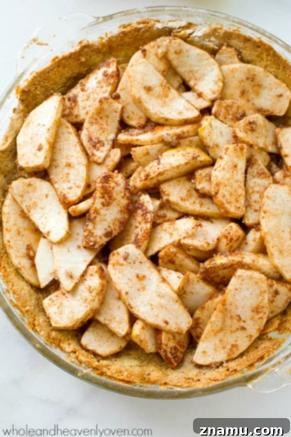 Cinnamon Sugar Apple Cheesecake Dream 3 A close-up of a slice of Snickerdoodle Apple Cheesecake Pie showing layers