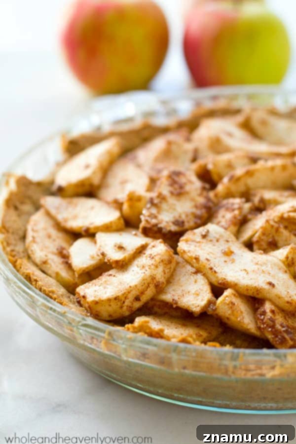 Cinnamon Sugar Apple Cheesecake Dream 5 Close-up of Snickerdoodle Apple Cheesecake Pie with a fork cutting into a slice